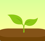 Forest专注森林破解版