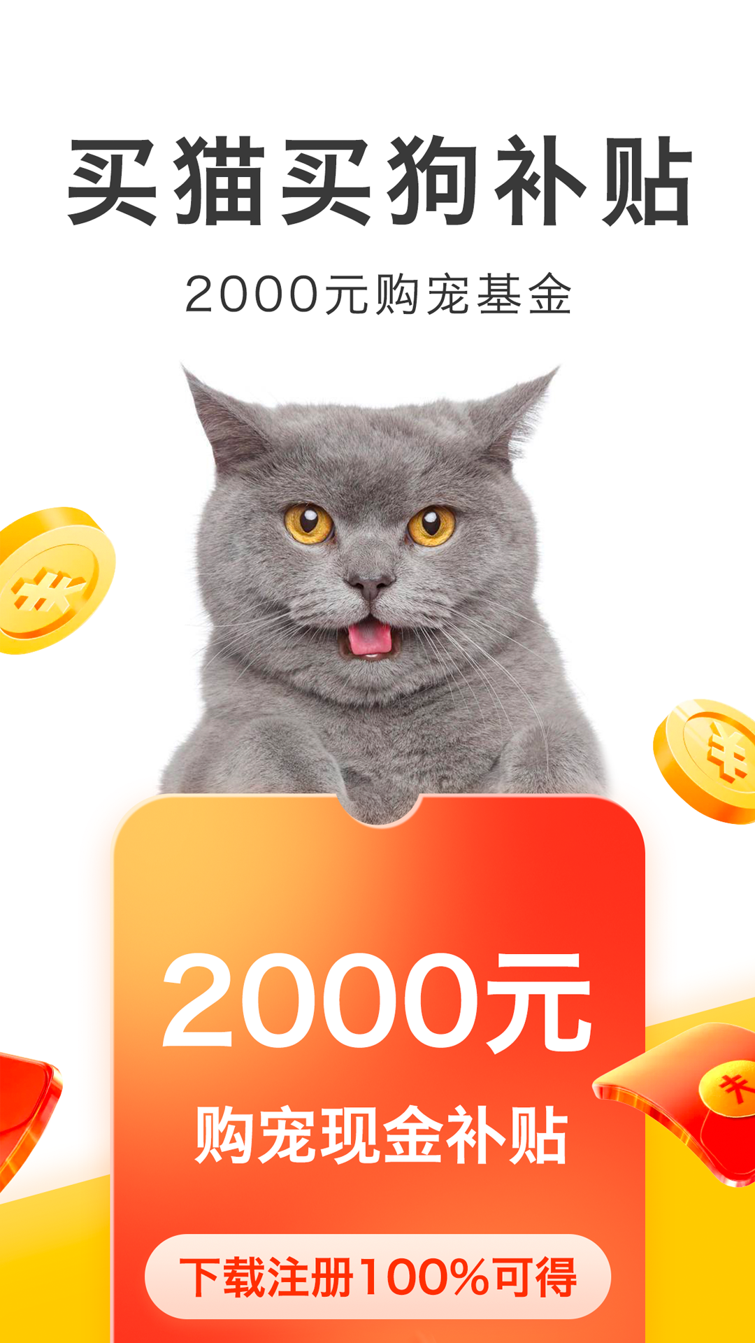 买只宠物正式版