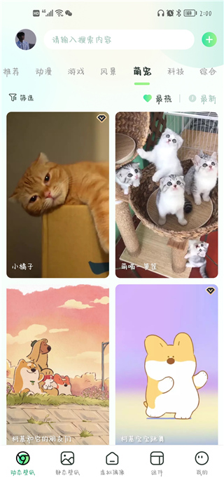 飞火动态壁纸app官方版