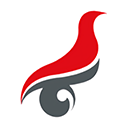 学信网(个人学历查询)app最新版