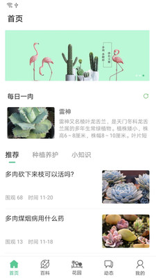 肉肉家多肉植物软件