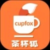 cupfox茶杯狐官方官网app下载