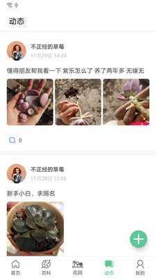 肉肉家多肉植物软件