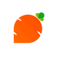 追萝卜app下载
