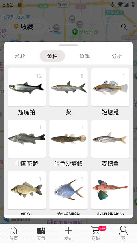 渔获App