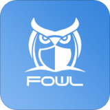 FOWL(视频监控)