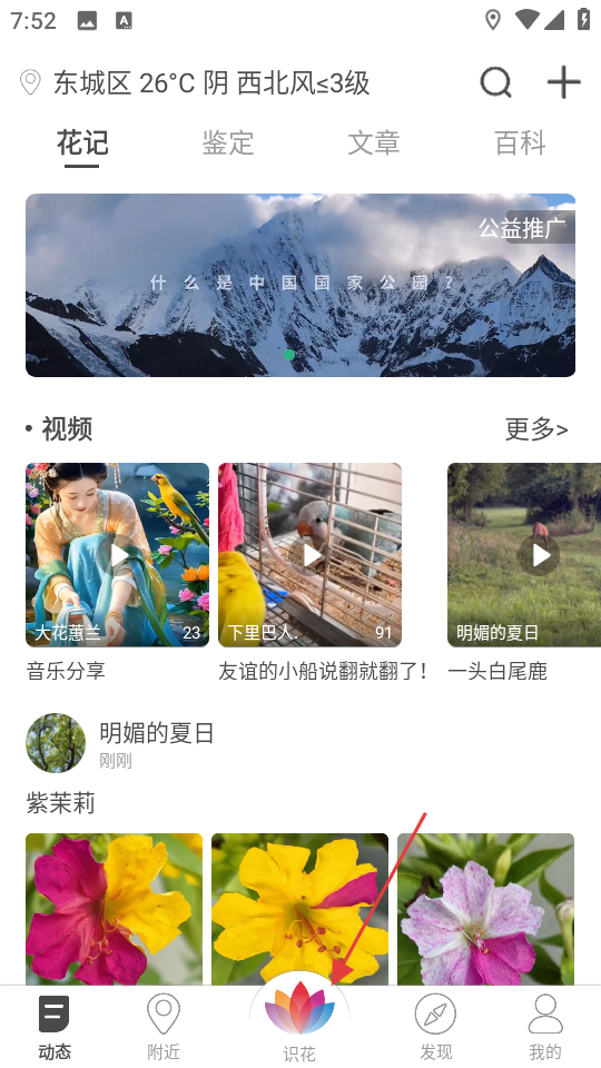 花伴侣专业版