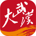 大武汉官方正版