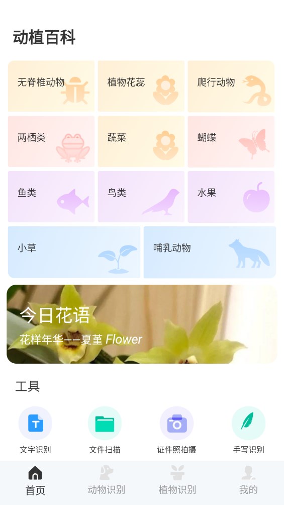 动物百科