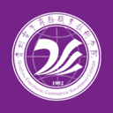 数智电商
