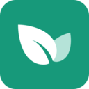 青藤之恋APP