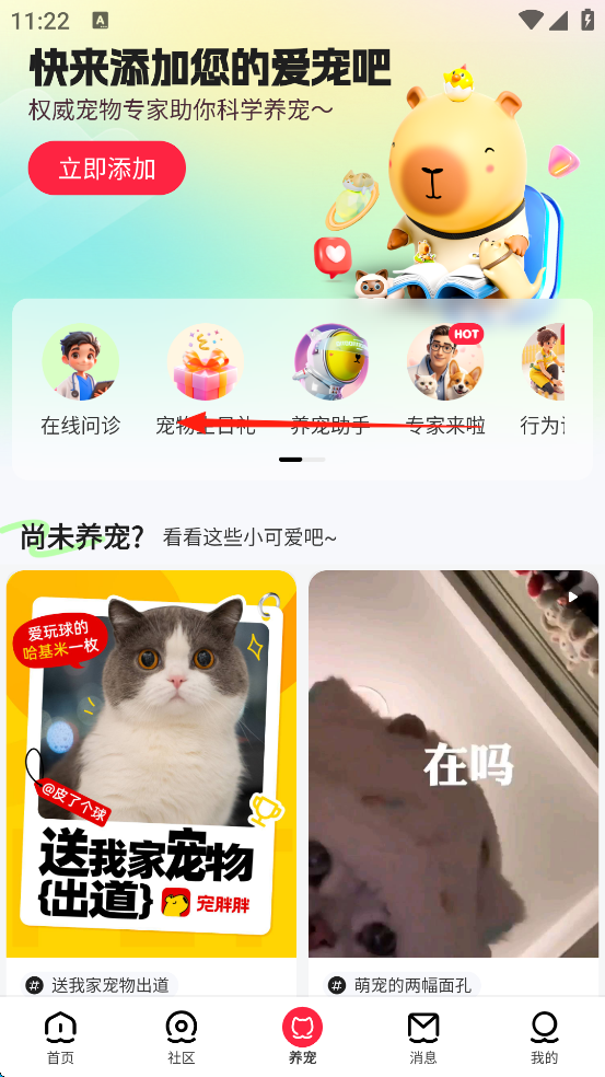 宠胖胖APP
