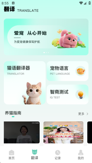 游猫猫