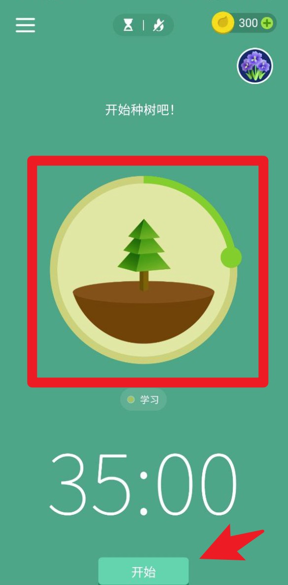 Forest 专注森林正式版