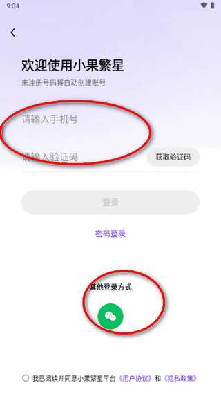 小果繁星
