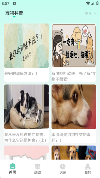 游猫猫