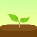 Forest 专注森林正式版
