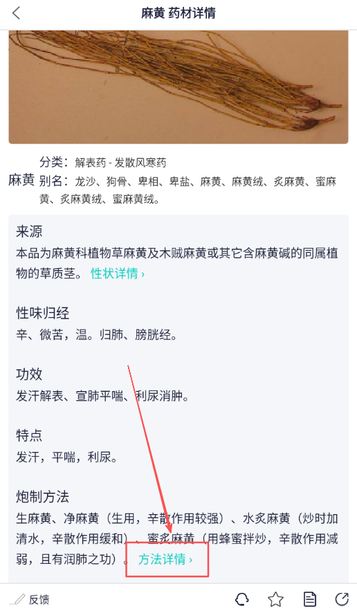 识药材
