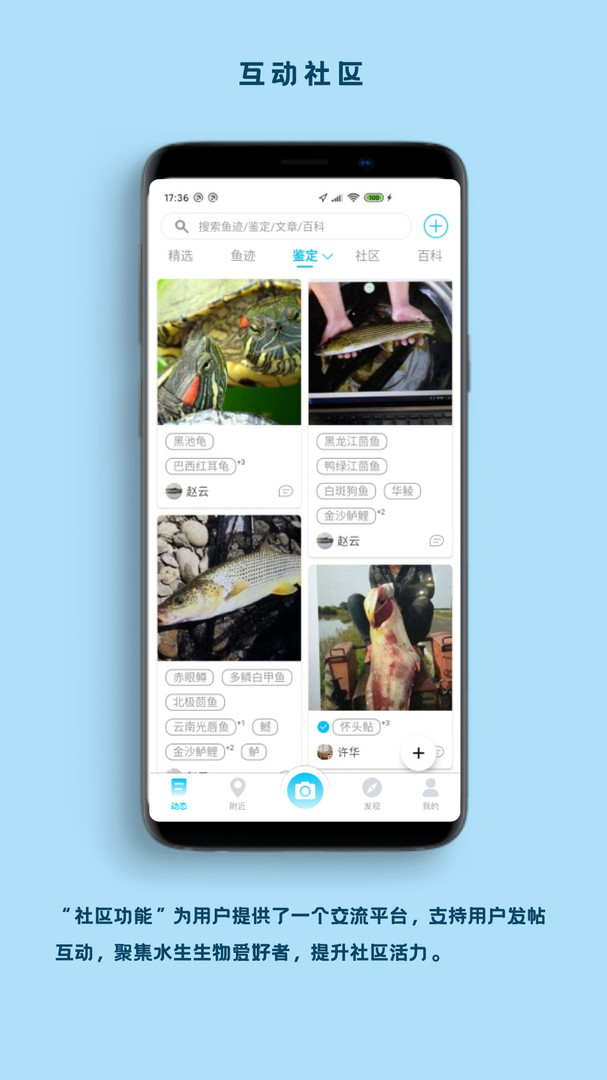 看鱼正式版
