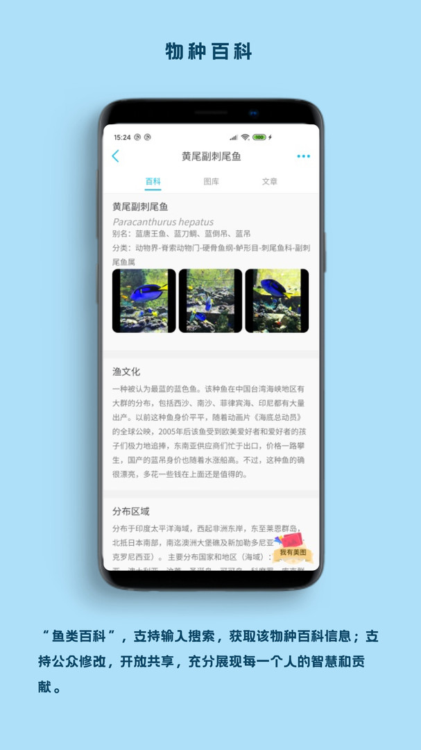 看鱼正式版