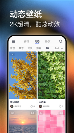 极壁纸最新版